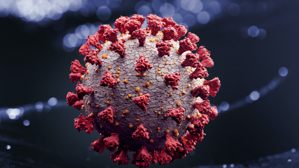 An artistic rendering of a virus