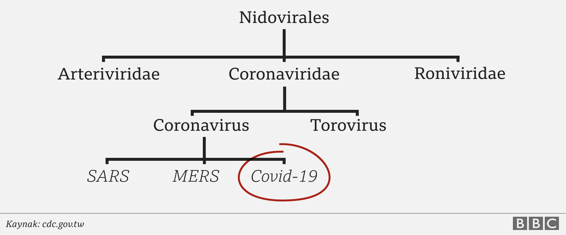 Koronavirüs: Dünya COVID-19 aşısına ne kadar yakın?