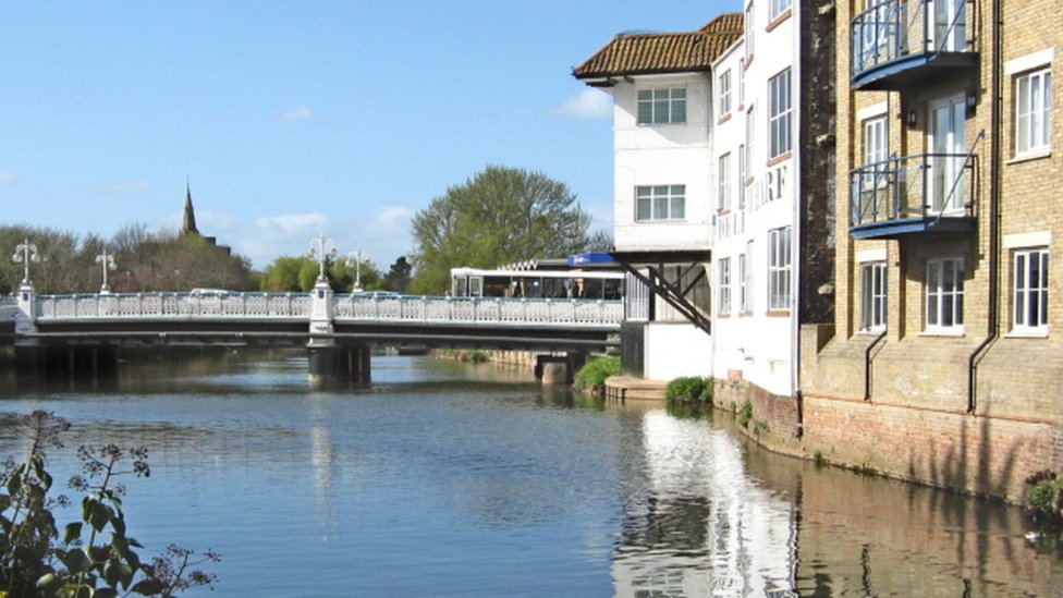 Somerset and Taunton Council declares ecological emergency - BBC News