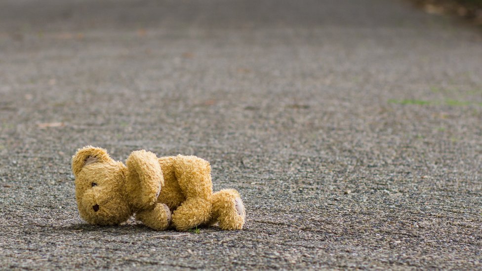 osito de peluche en la carretera