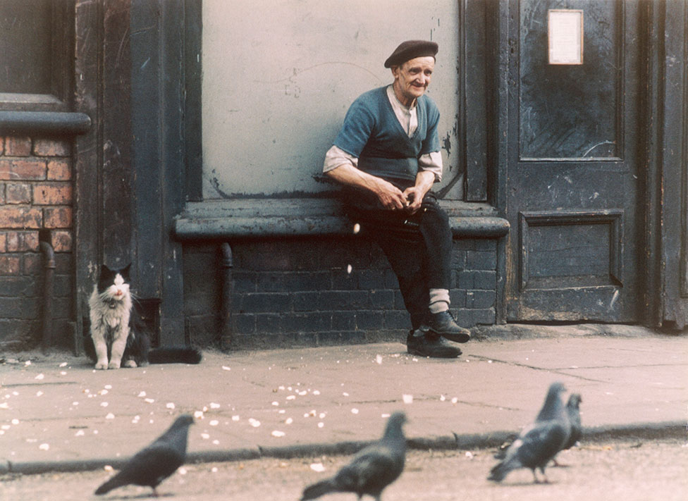 Пожилой мужчина кормит голубей на улице