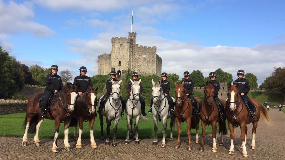 полицейские лошади внутри Кардиффского замка