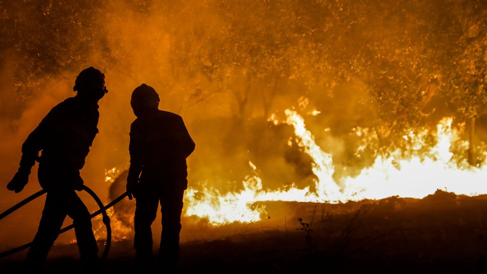 Portugal wildfires: State of alert begins amid third heatwave - BBC News