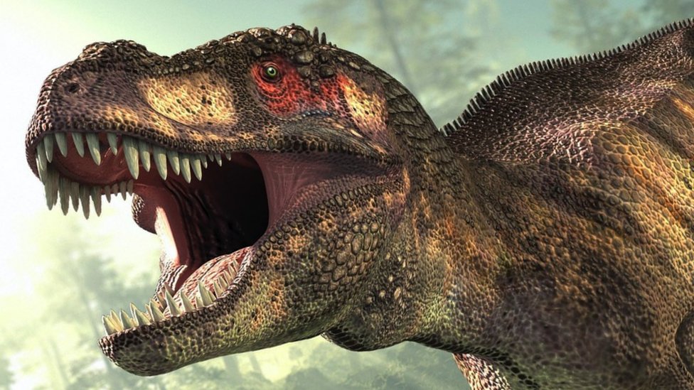 Tyrannosaurus rex should be split into three species