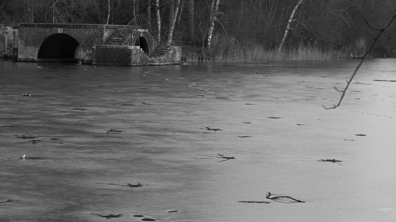 BBC Local Live Beds, Herts & Bucks on Thursday, 7 April 2016 BBC News