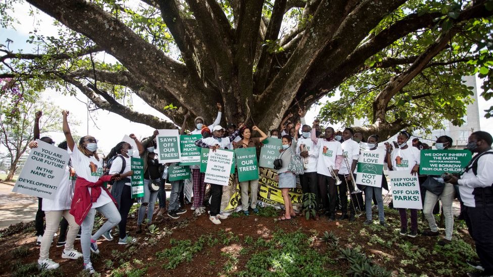 Campaigners in front of the fig tree in Nairobi, Kenya - October 2020