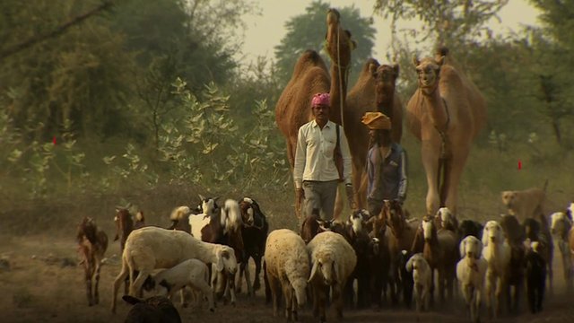 Farmers in Rajasthan
