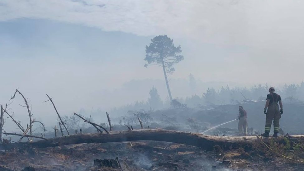 Лесной пожар в Уэрхэме