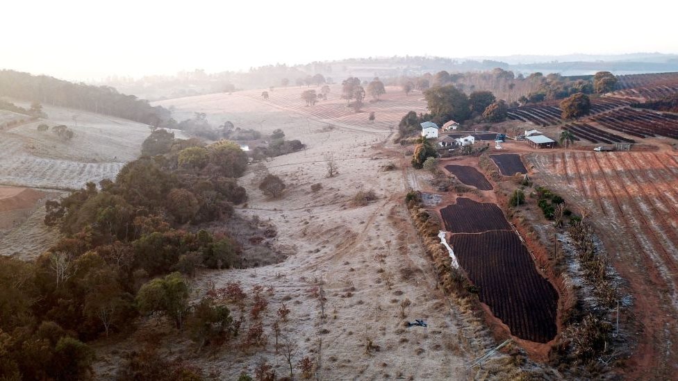 Heladas en Minas Gerais, Brasil, julio 30 de 2021