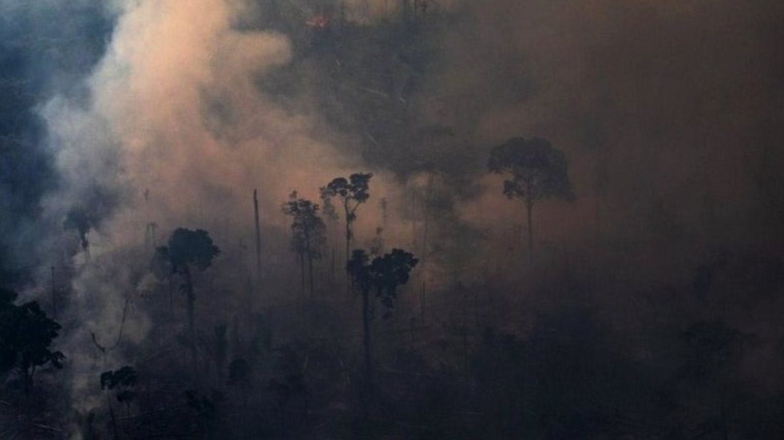 Amazonia com queimadas