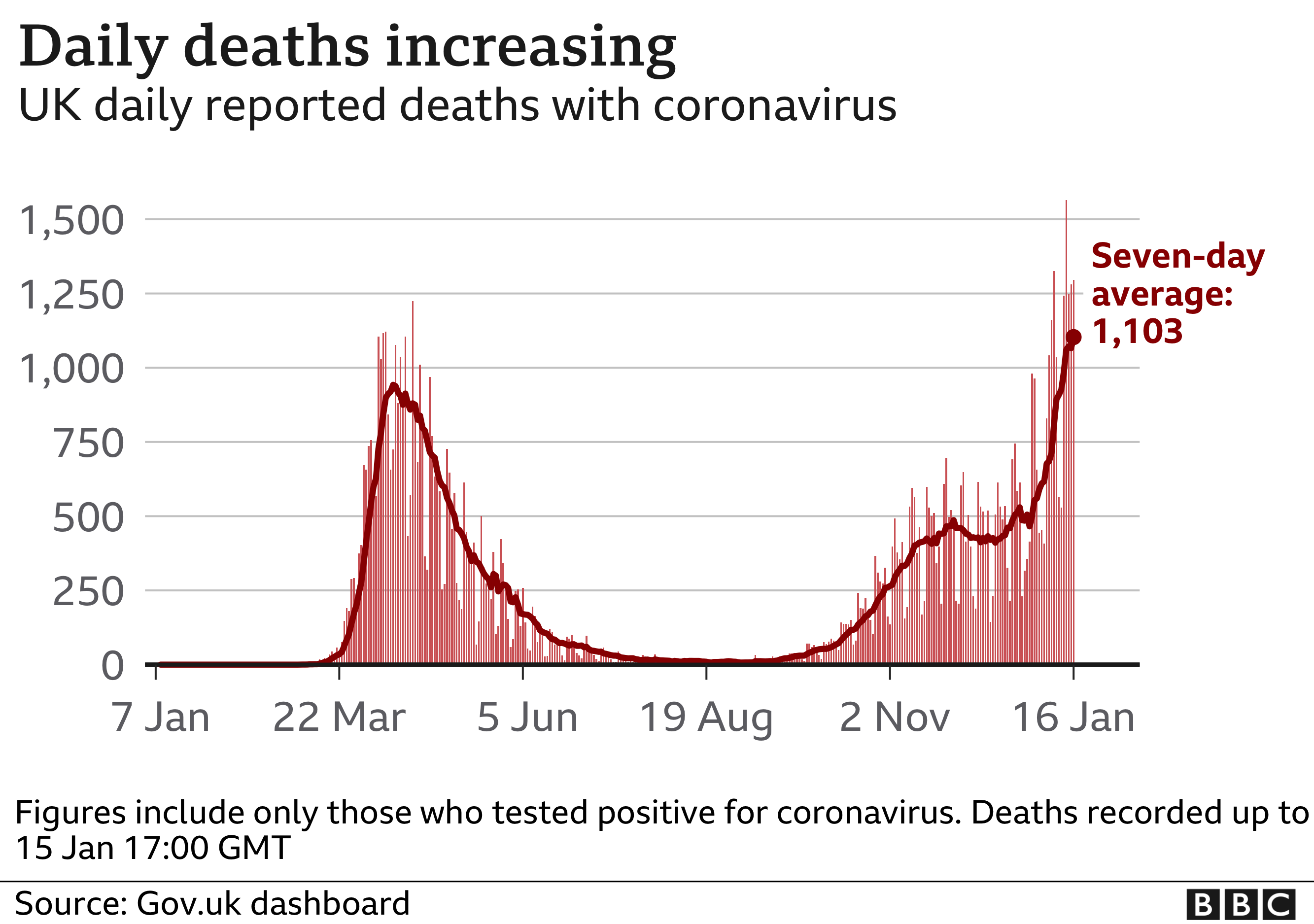 Daily Covid deaths graph