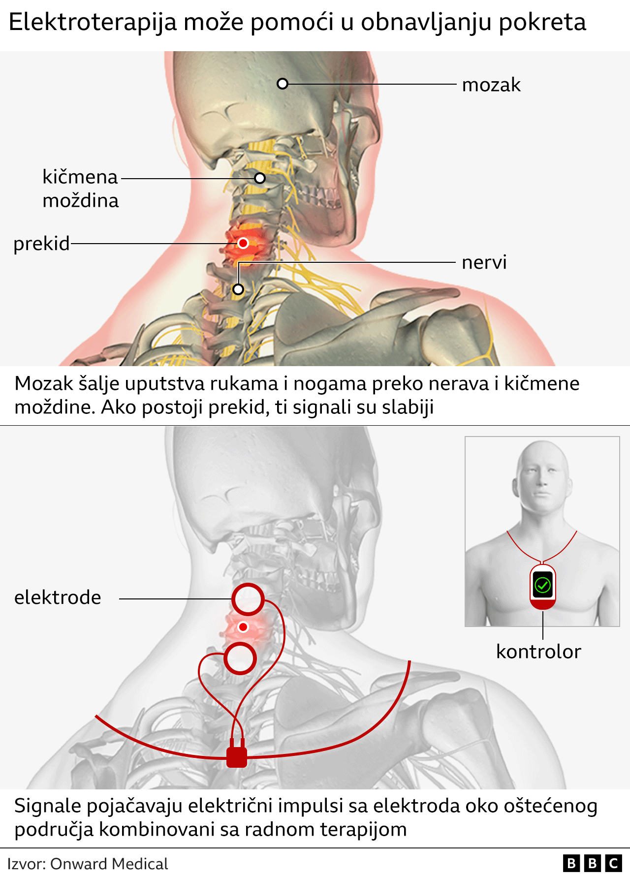 grafika