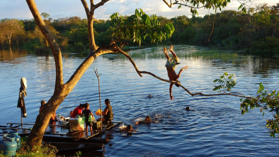 Como desmatamento pode aumentar anemia em crianças na Amazônia