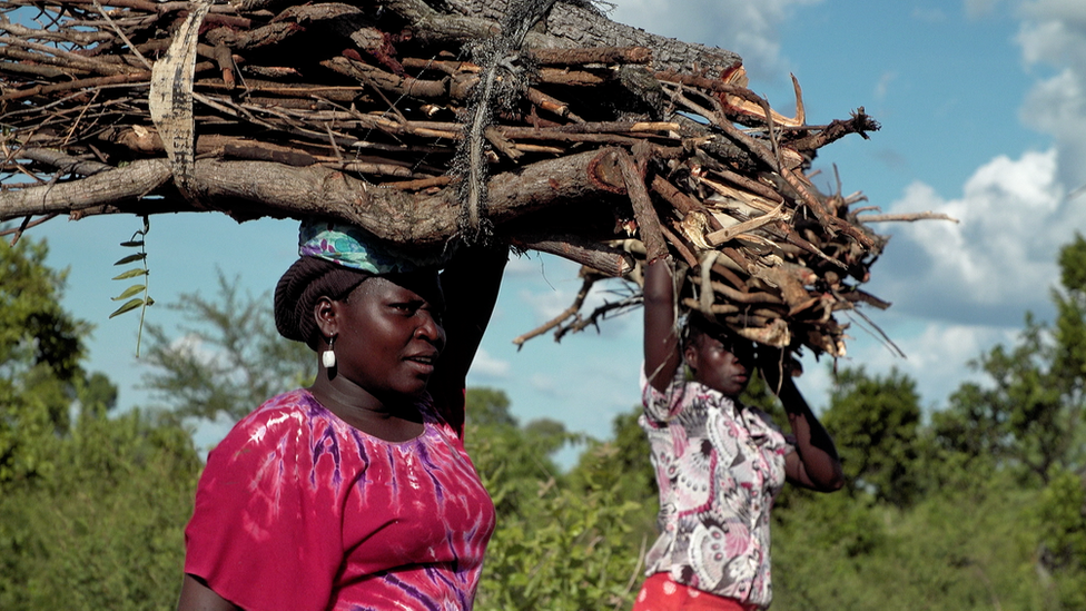 Беженцы в Уганде несут дрова