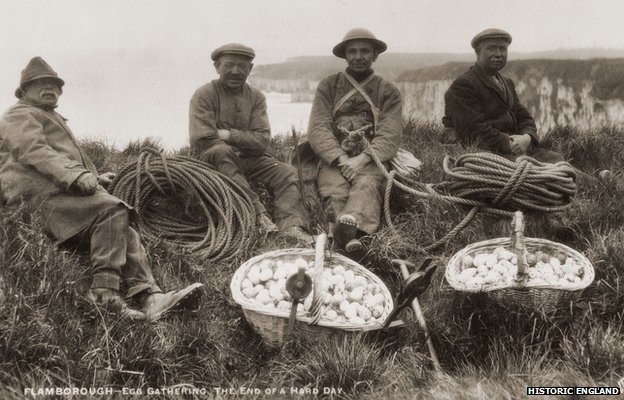 Сборщики яиц, Фламборо, Восточный Йоркшир, июль 1926 года. Walter Scott Ltd
