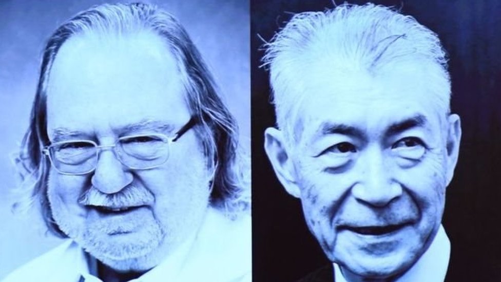El estadounidense James P. Allison y el japonés Tasuku Honjo descubrieron cómo usar nuestras células para combatir el cáncer.