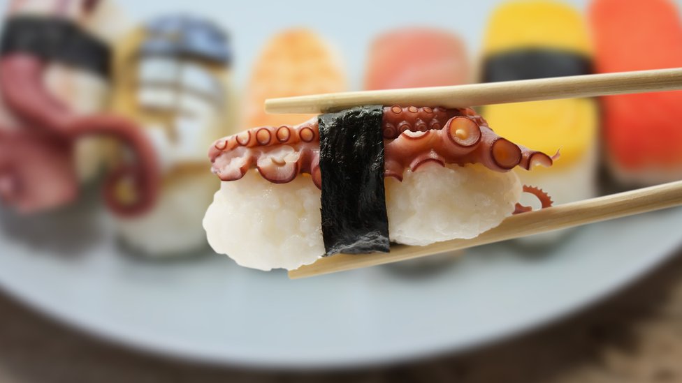 Sashimi
