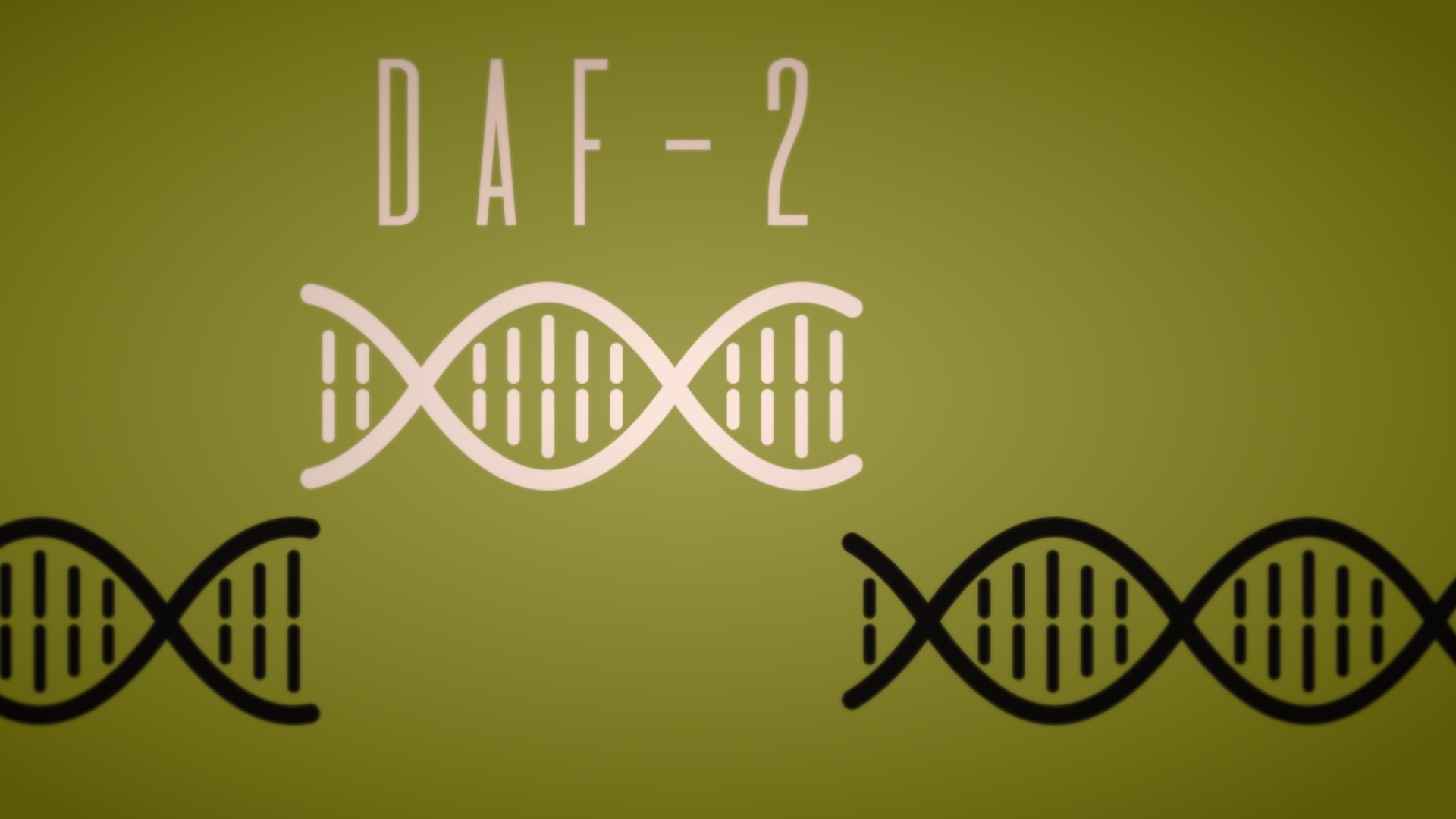 Ilustración del gen daf-2