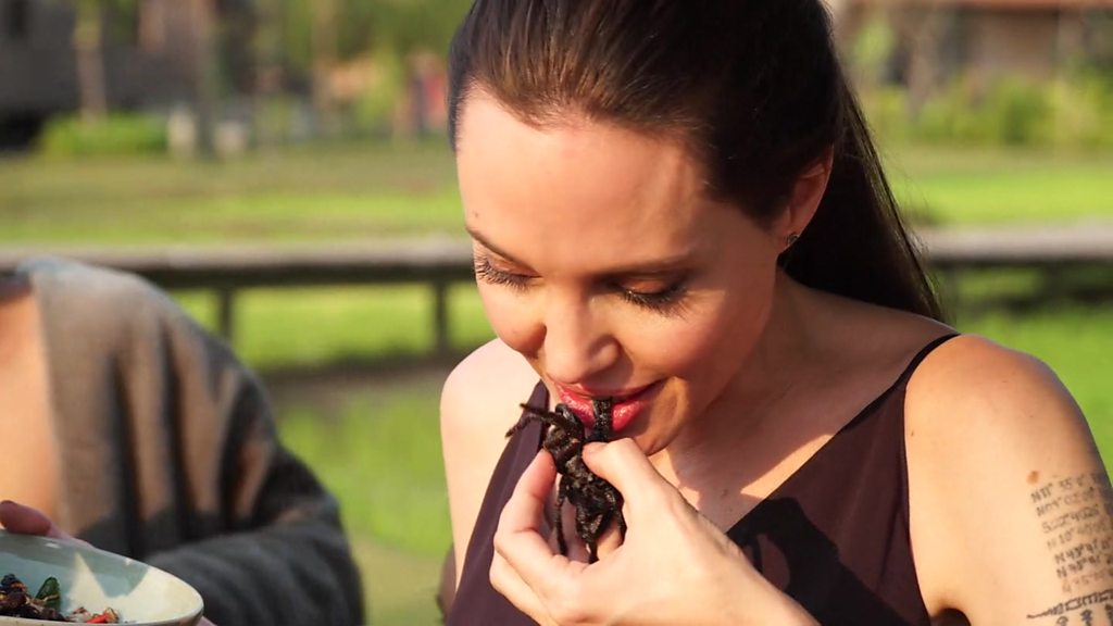 Foodista  Angelina Jolie Discusses Cricket-Eating Children in New