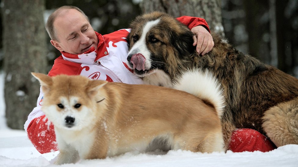 Putin sa psima