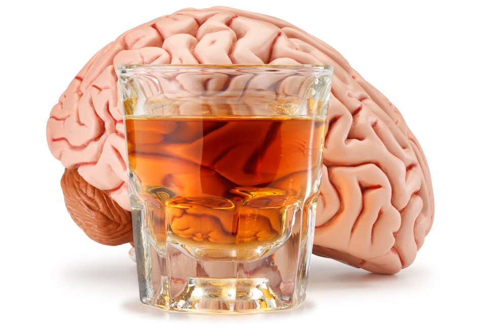 Un cerebro con un vaso de alcohol adelante.