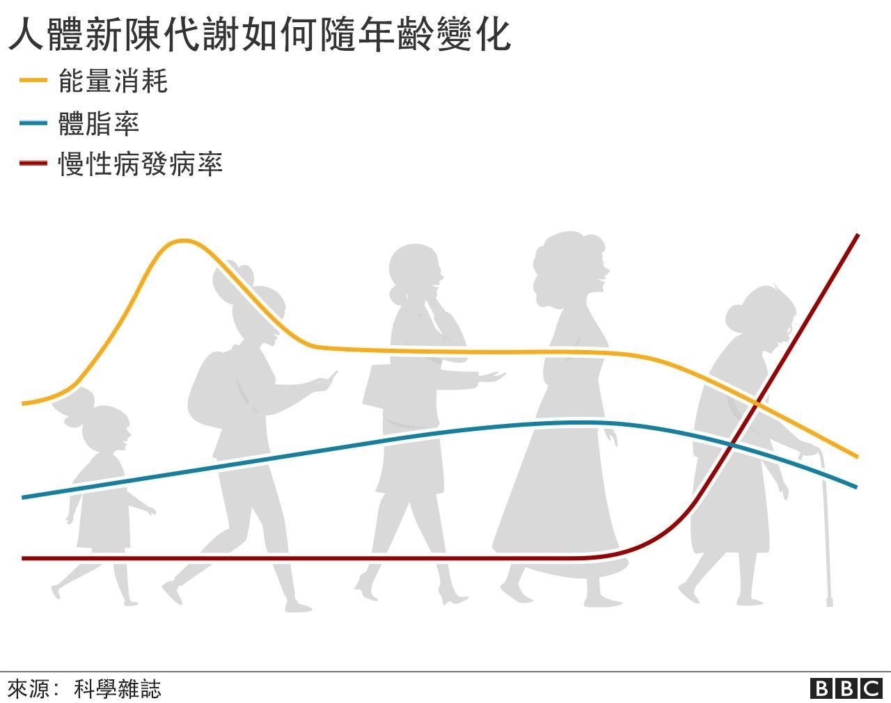人體新陳代謝如何隨年齡增長而變化