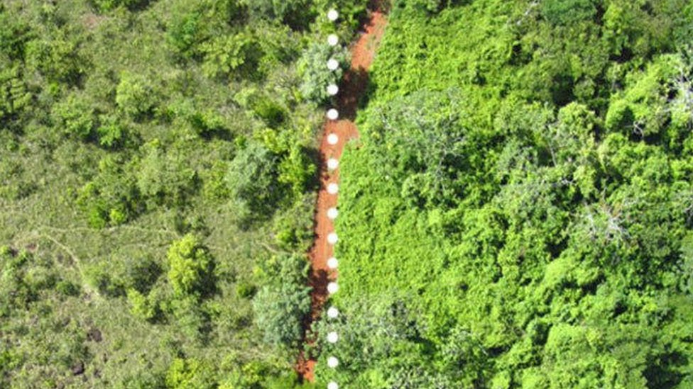 Esta imagen aérea muestra las diferencias entre la tierra revivida por el experimento de las naranjas (derecha) y la tierra que no ha sido tratada (izquierda).