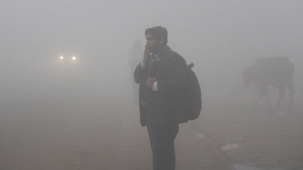 IMD Weather Forecast: Indian Meteorological Department (IMD) predicted severe cold day over Punjab, Haryana, Chandigarh, and Delhi.