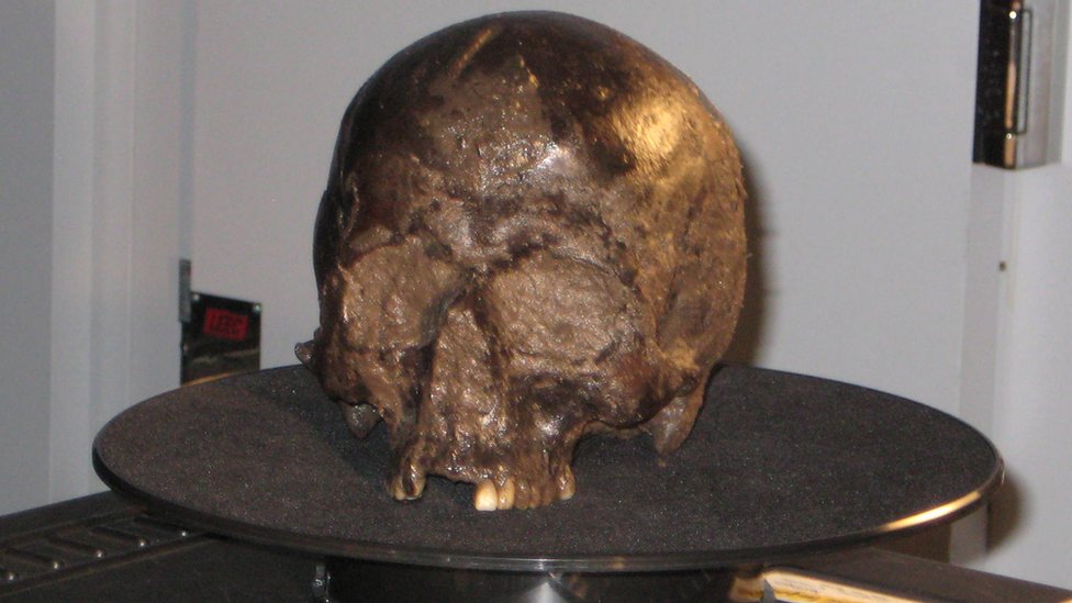Human brain in ancient skull survived 2,600 years and scientists ...