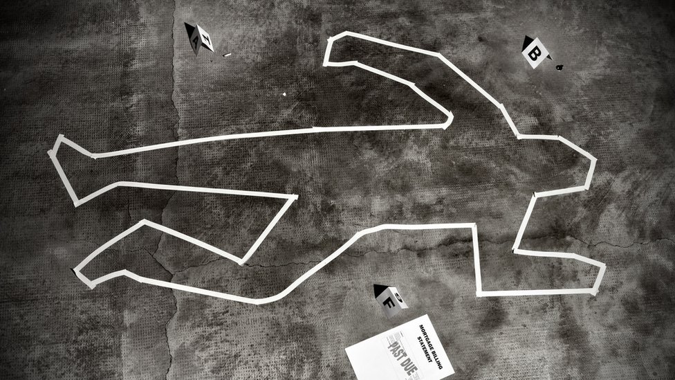 La información obtenidas mediante las investigaciones de los centros de tafonomía contribuyen a establecer aproximadamente el momento en que se consumó el crimen. Investigación forense