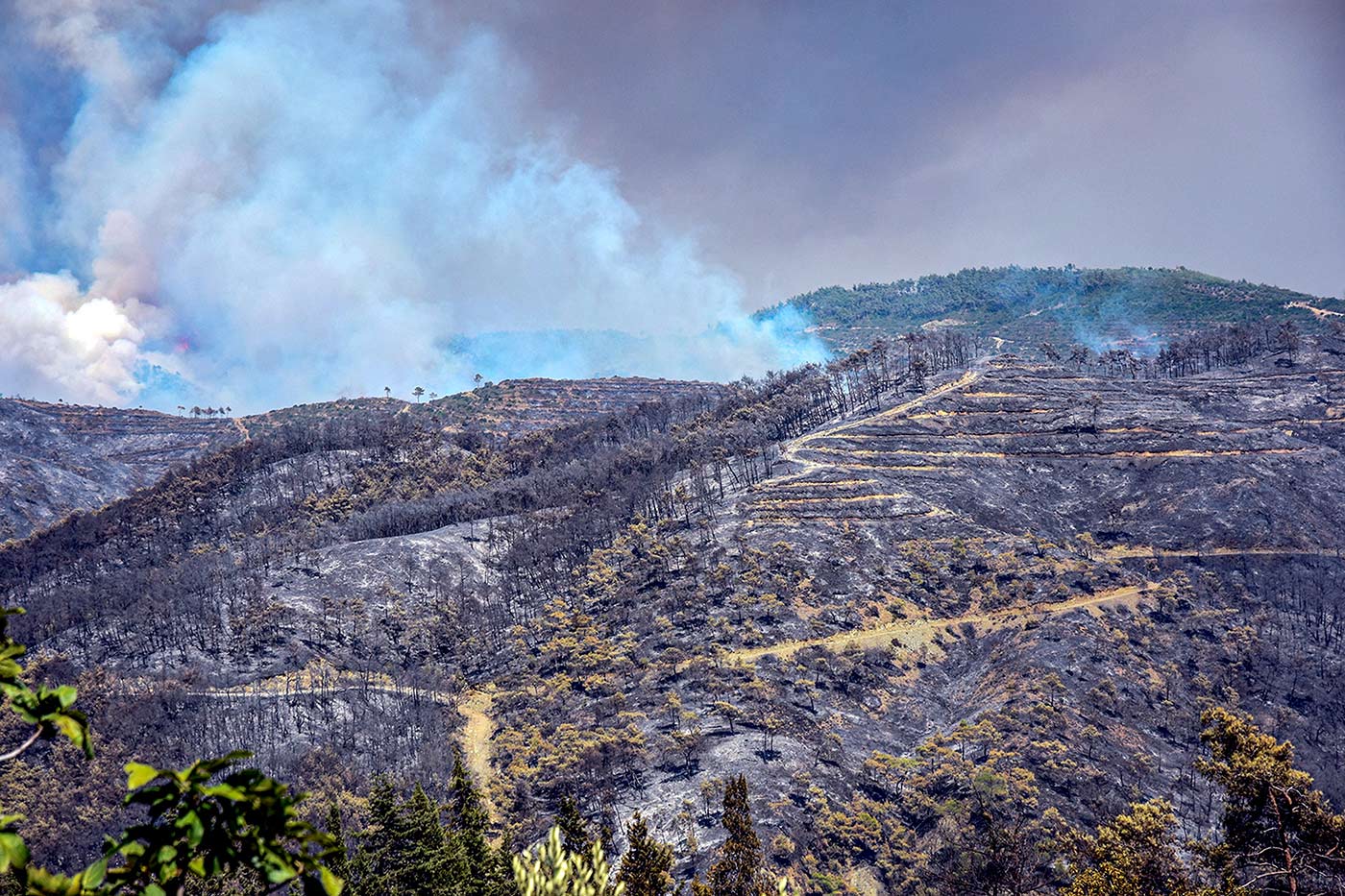 Smoke rises, as wildfire burns in Latakia's countryside, Syria - 26 July 2023