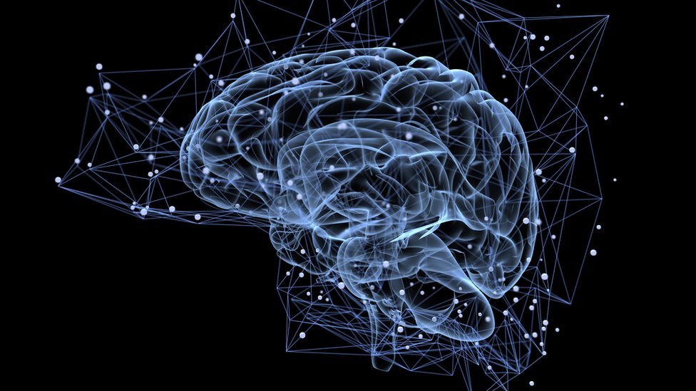 La teoría de Andrillon reconcilia las dos visiones opuestas sobre el papel del sueño en la memoria. Actividad cerebral