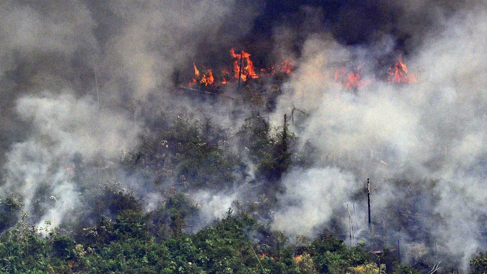 Vista aérea de fuego y humo en la Amazonía.