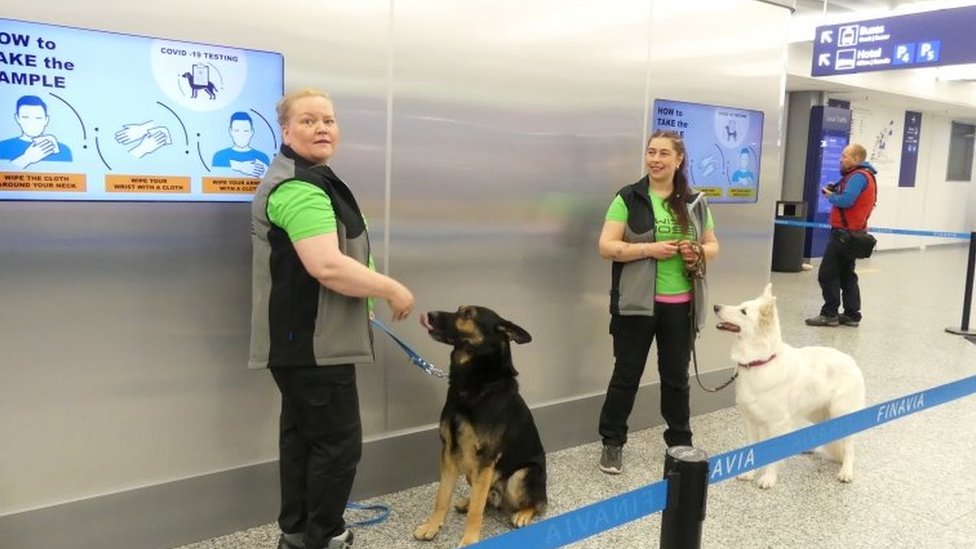 Instructores con perros rastreadores Valo (izquierda) y E.T. en el aeropuerto de Helsinki. Foto: septiembre de 2020