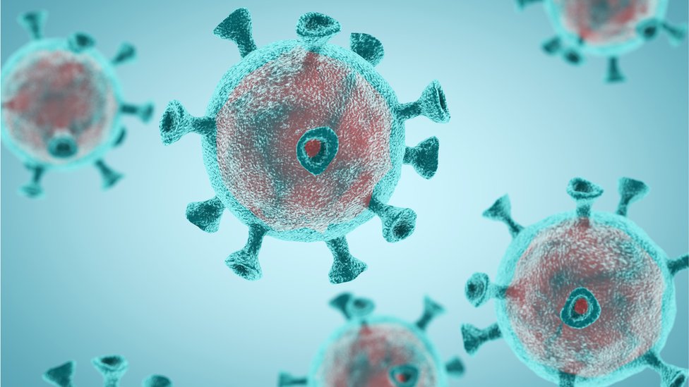 Coronavirus: T-cell immunity exists six months after infection, study finds