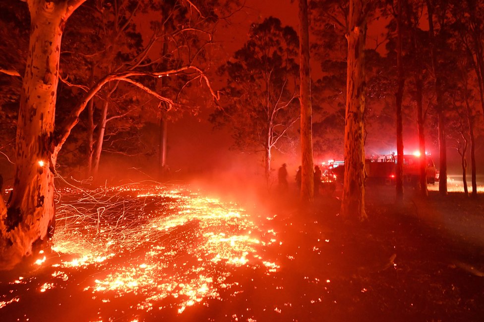 Горящие угли покрывают землю, когда пожарные сражаются с лесными пожарами