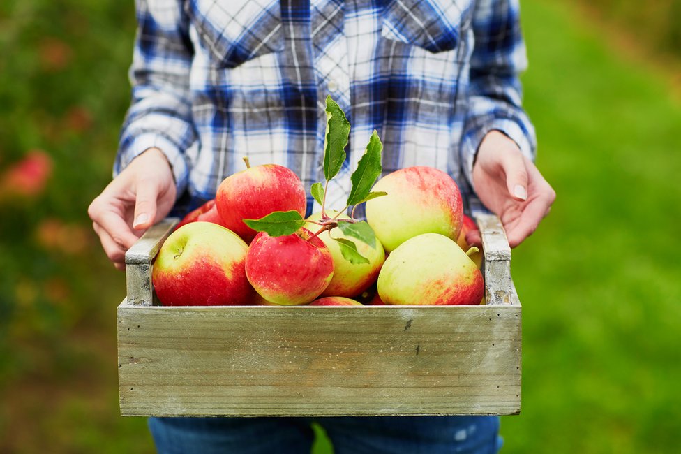 NO USAR. BBC. Una caja con manzanas.