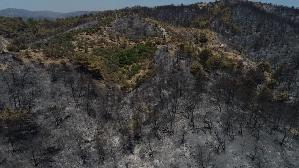 İzmir'de 2019'da Seferihisar ve Menderes'te yaşanan yangınlarda binlerce hektarlık yeşil alan yanmıştı.