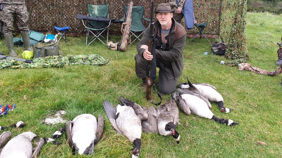 Canada geese 2025 hunting uk