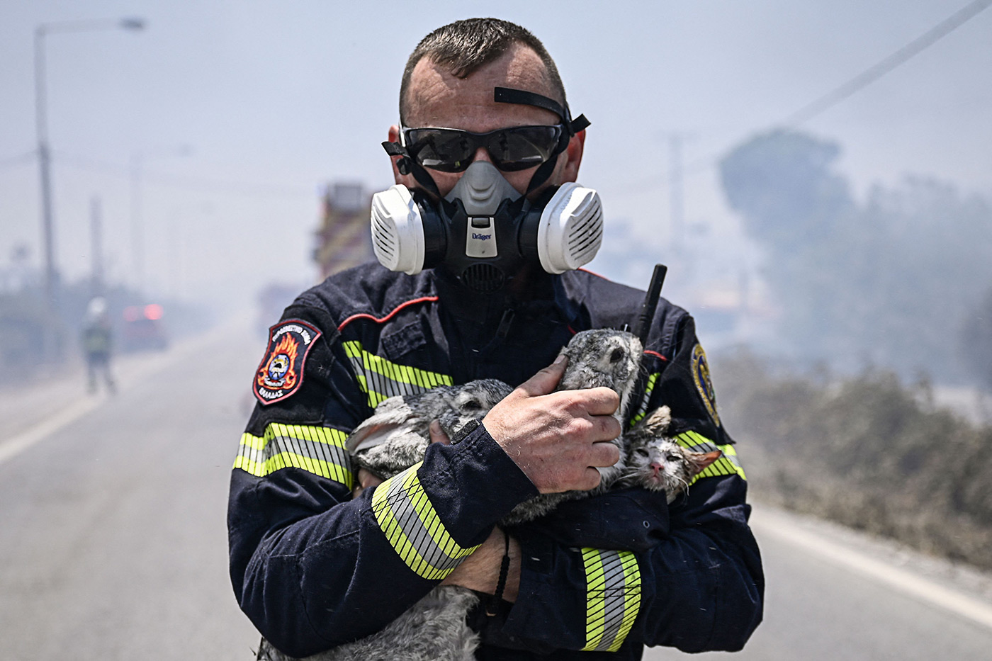 A fireman holds a cat and two rabbits after rescuing them from a fire between the villages of Kiotari and Genadi, on the Greek island of Rhodes - 24 July 2023