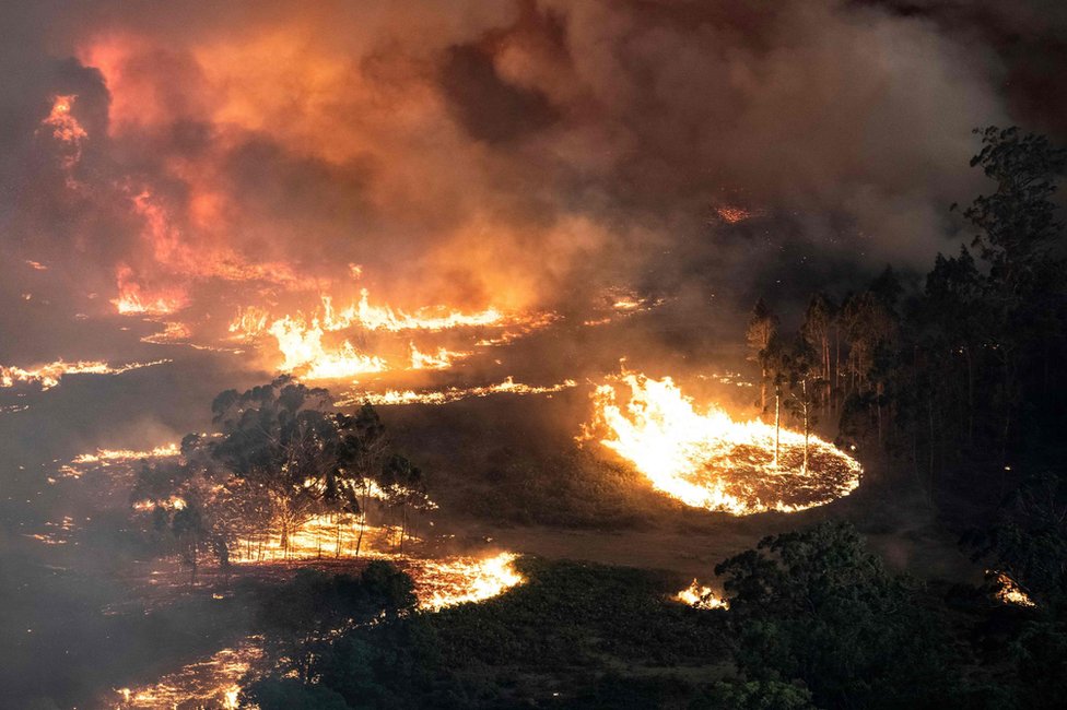 Бушующие лесные пожары