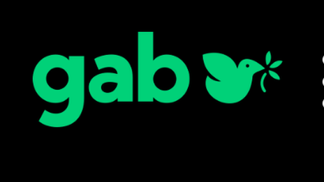 Social network Gab back online after shooting