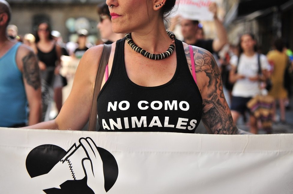 „Ne jedem meso", poruka na grudima, Španija protesti