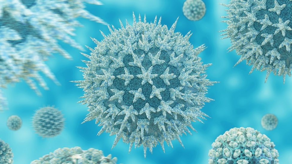 An artist's interpretation of the flu virus