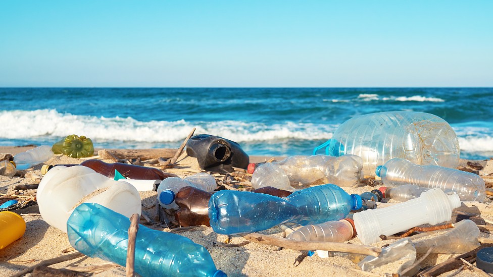 Botellas de plástico de diferentes colores en una playa