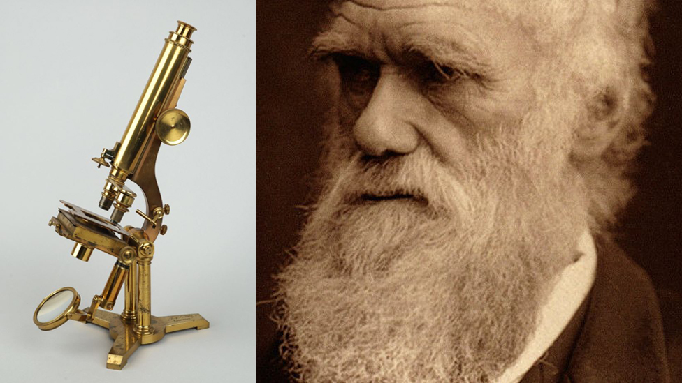 Коллекция включает микроскоп, принадлежащий натуралисту Чарльзу Дарвину, автору краеугольного камня эволюционной теории «Происхождение видов» (1859 г.)