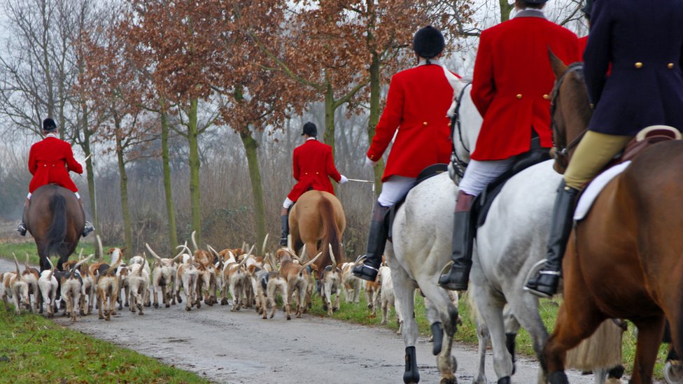 National Trust bans trail hunting on its land - BBC News