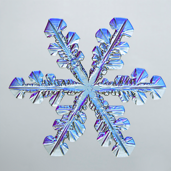 Copo de nieve Copo de nieve