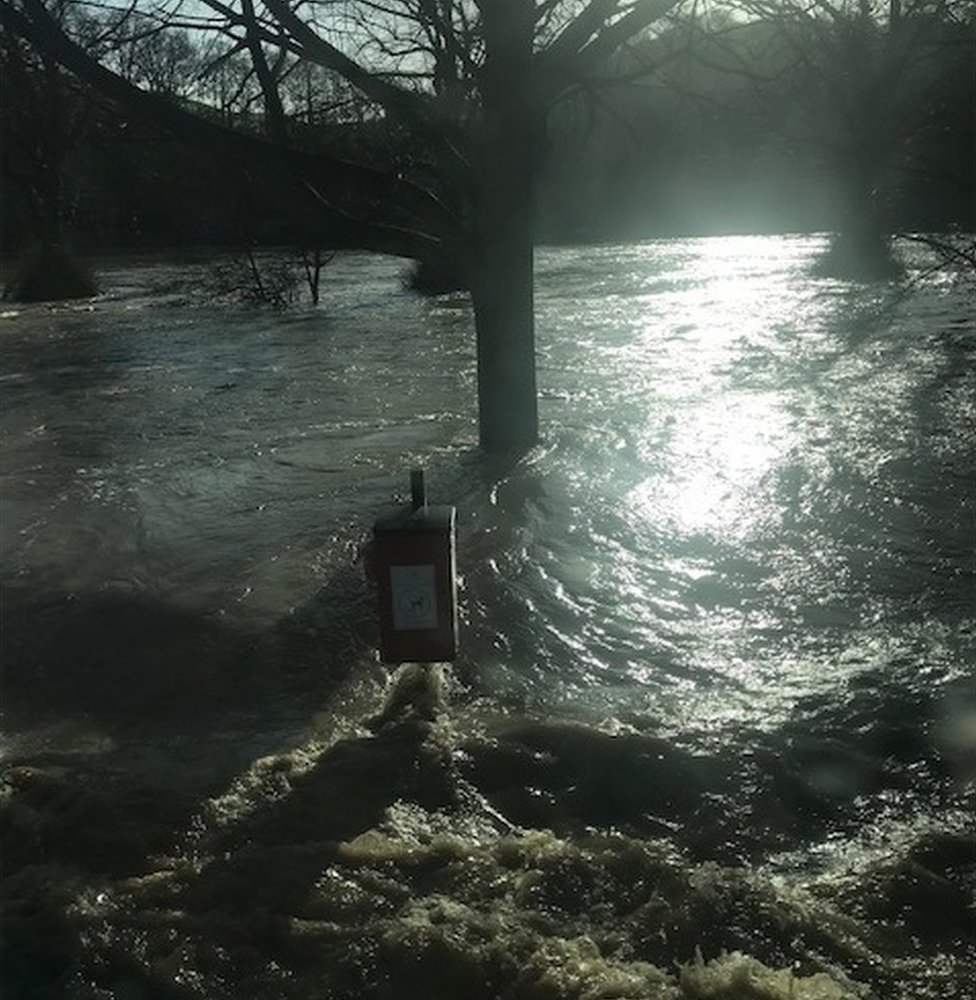 Затопленный лес в Llanfair Talhaiarn
