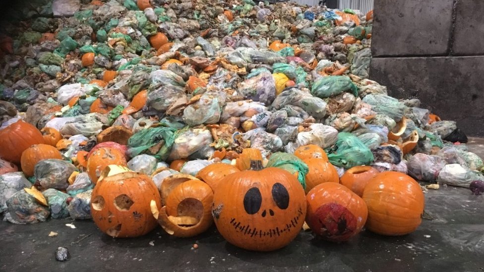 Severn Trent expects to recycle 50,000 pumpkins after Halloween - BBC News